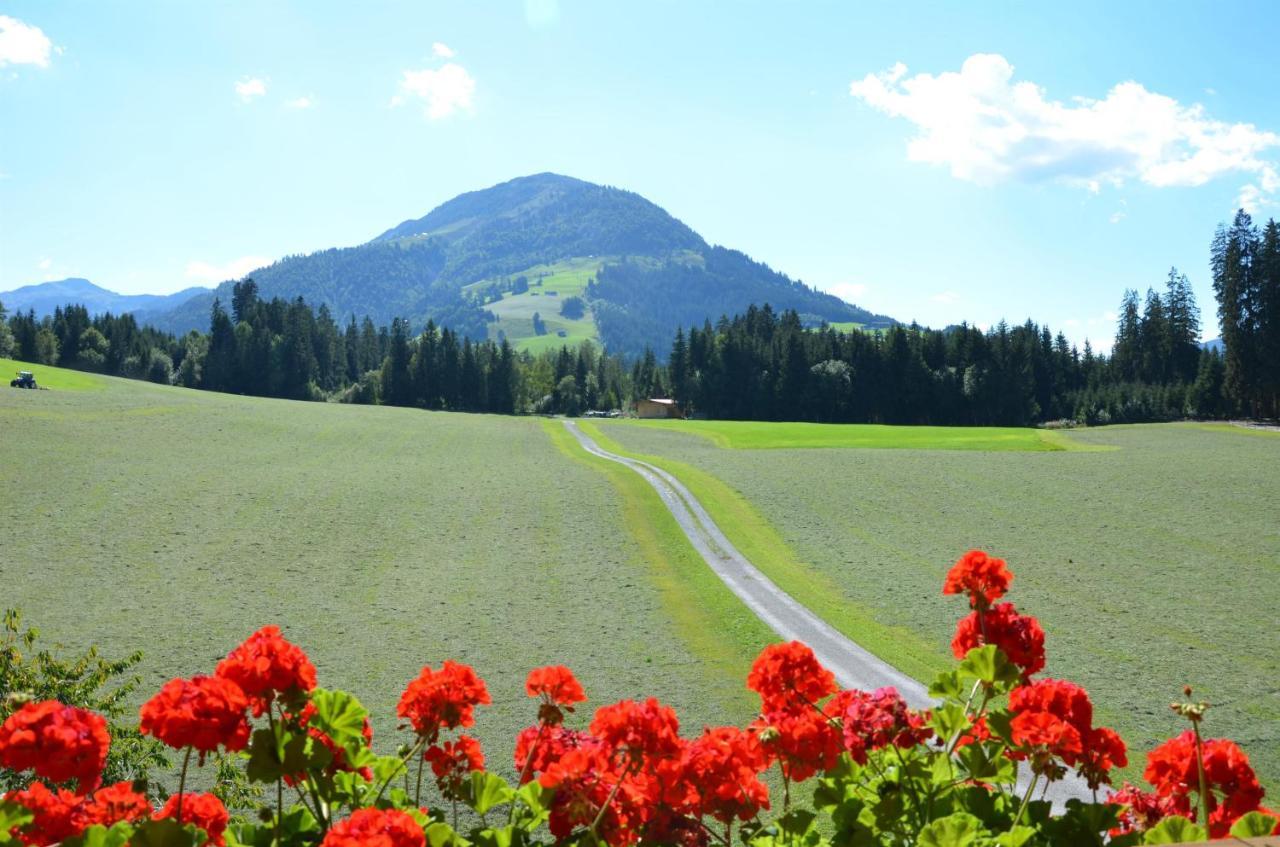 Pension Woetzinghof Kirchberg in Tirol Exterior foto