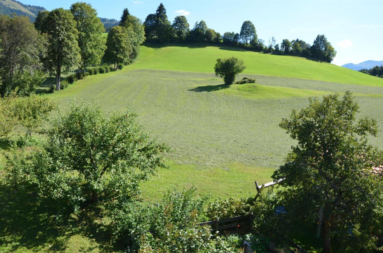 Pension Woetzinghof Kirchberg in Tirol Exterior foto