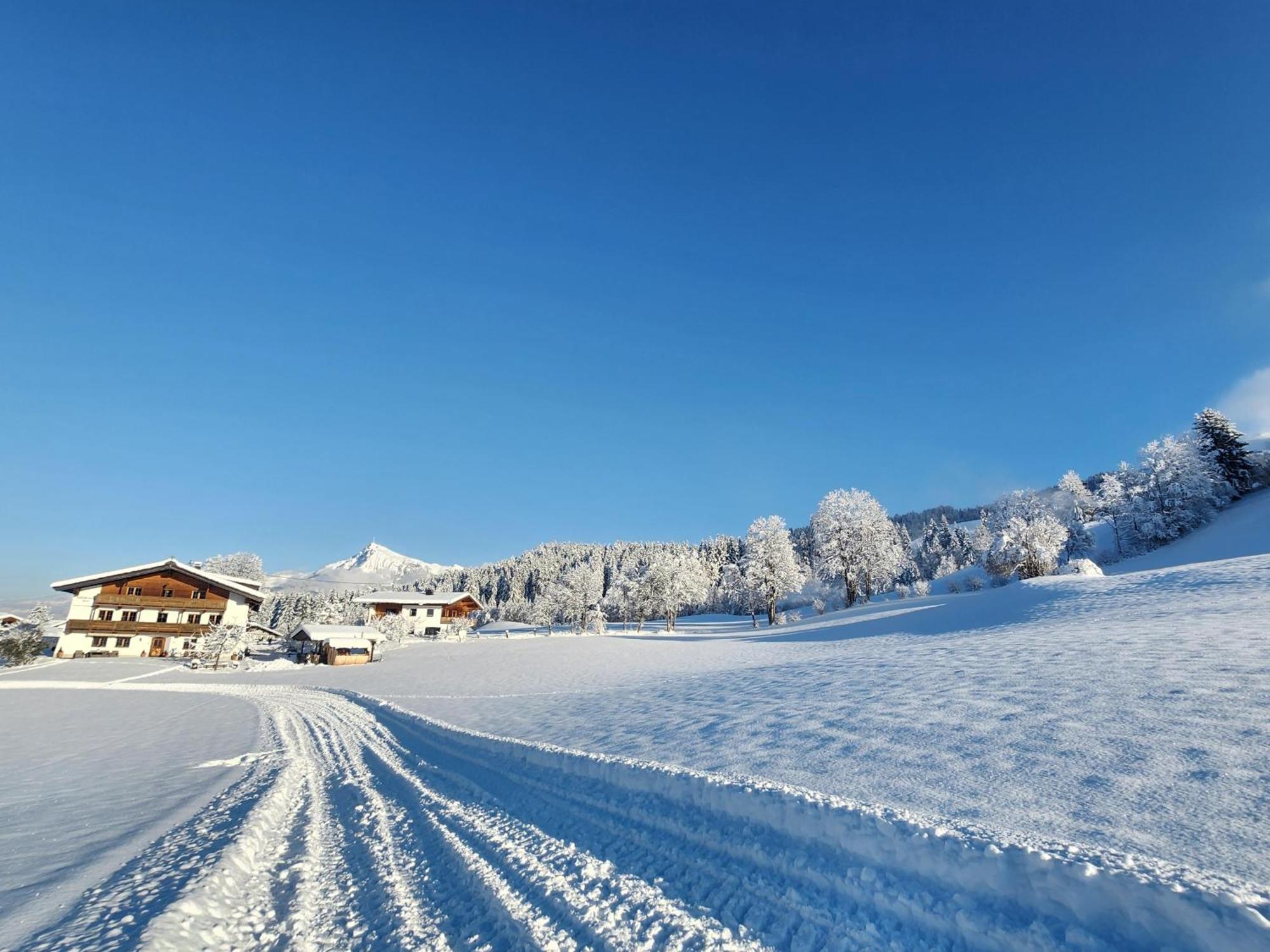 Pension Woetzinghof Kirchberg in Tirol Exterior foto