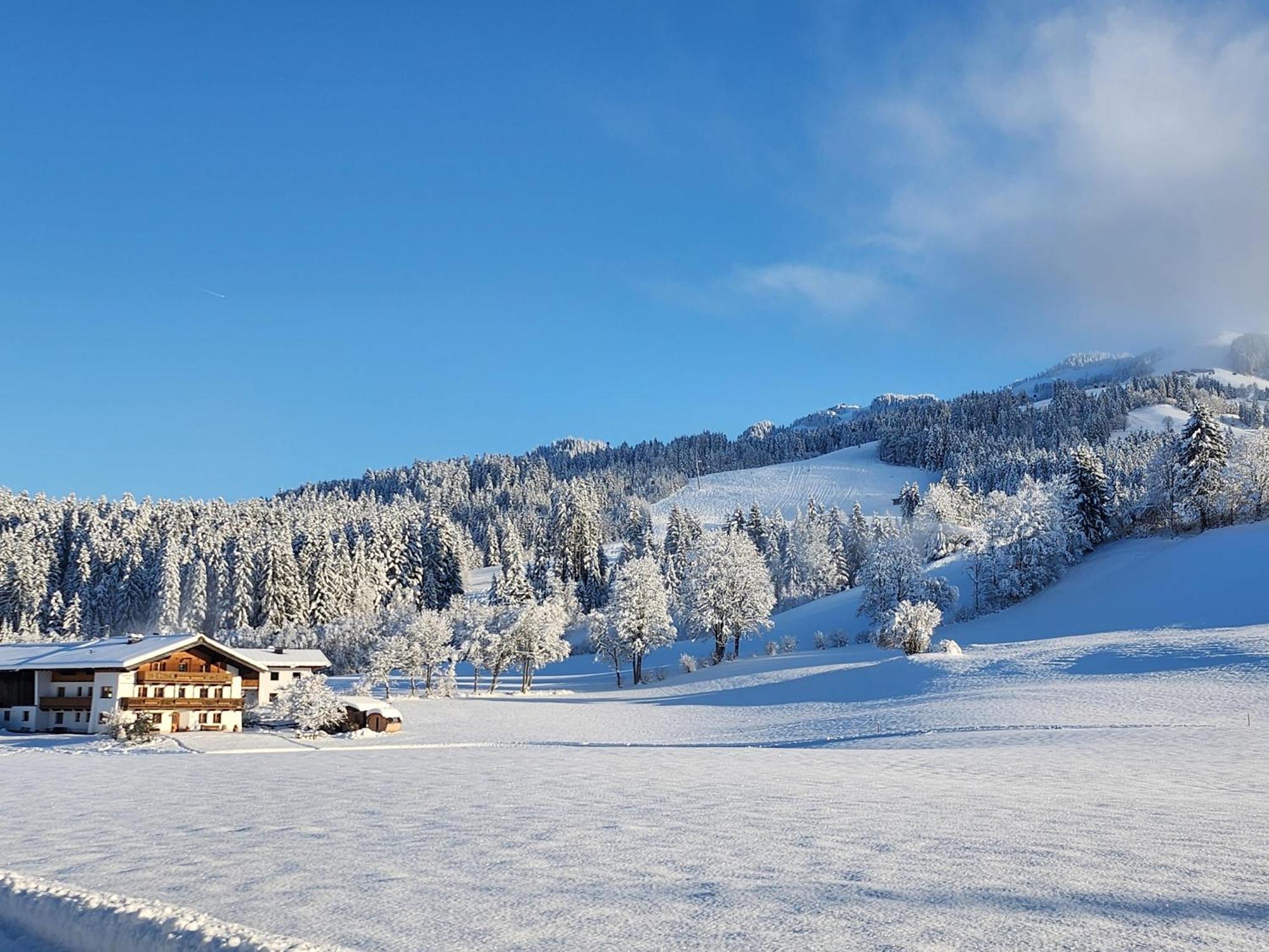 Pension Woetzinghof Kirchberg in Tirol Exterior foto