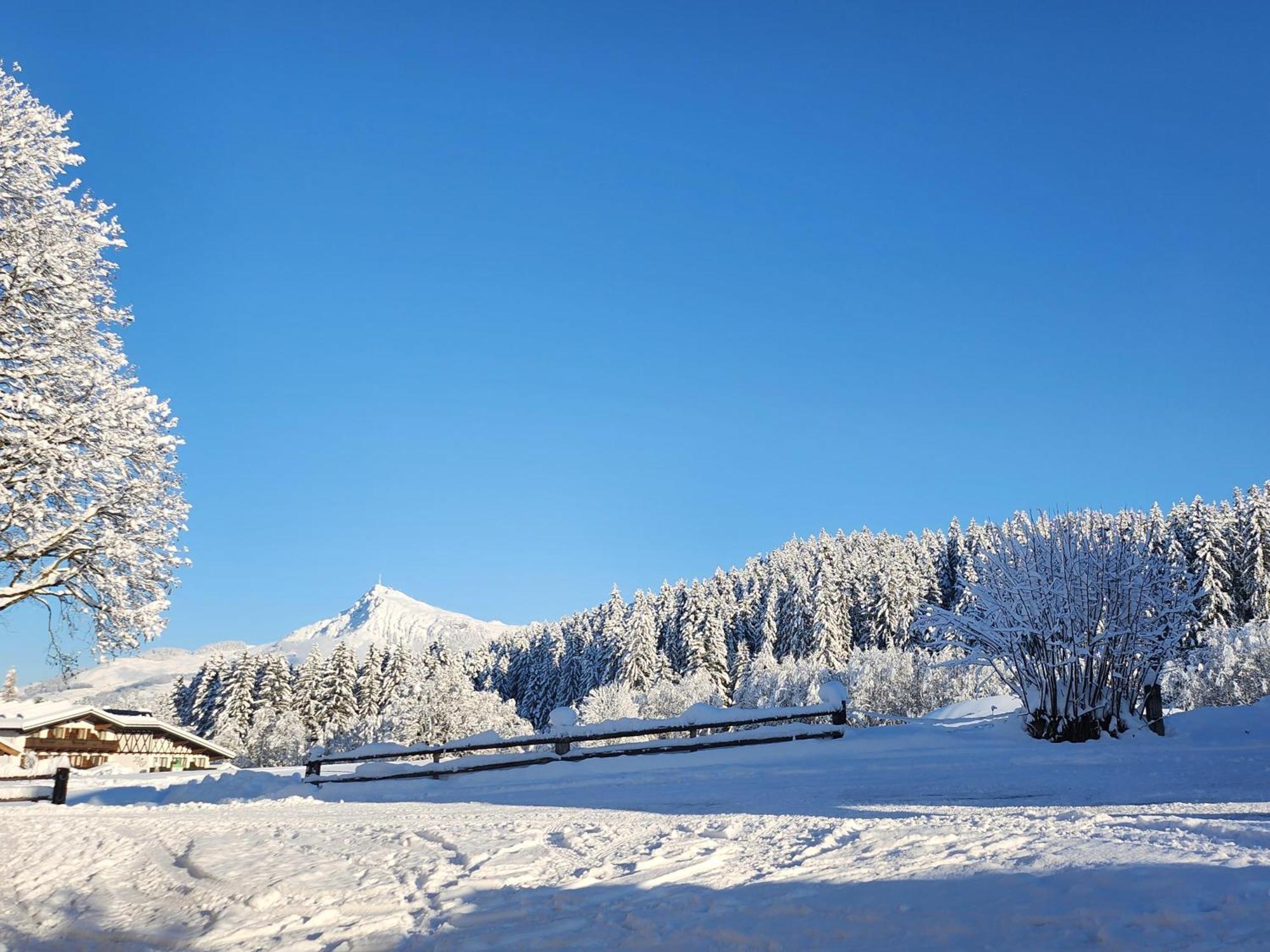 Pension Woetzinghof Kirchberg in Tirol Exterior foto