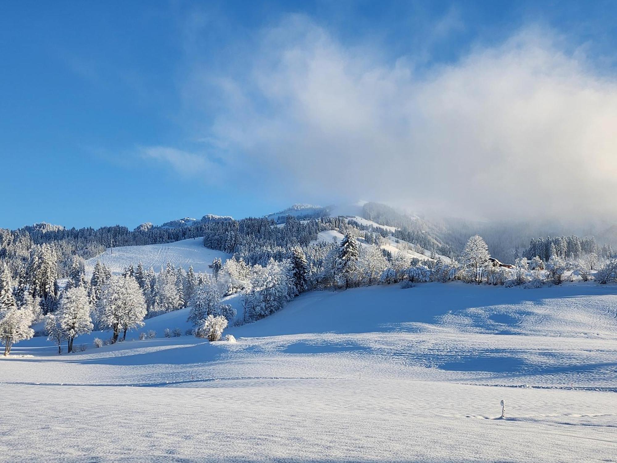 Pension Woetzinghof Kirchberg in Tirol Exterior foto