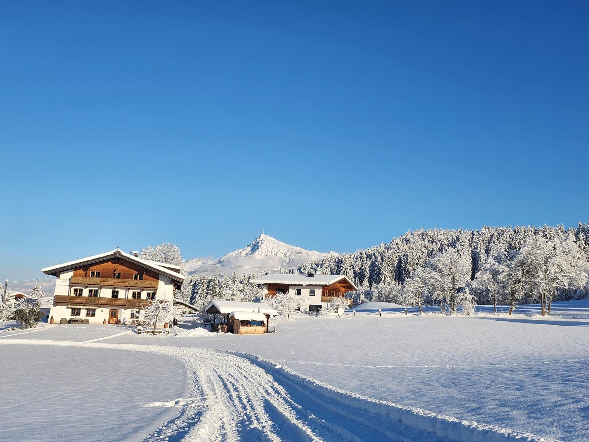 Pension Woetzinghof Kirchberg in Tirol Exterior foto