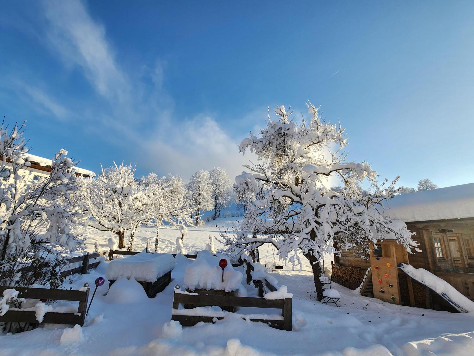 Pension Woetzinghof Kirchberg in Tirol Exterior foto