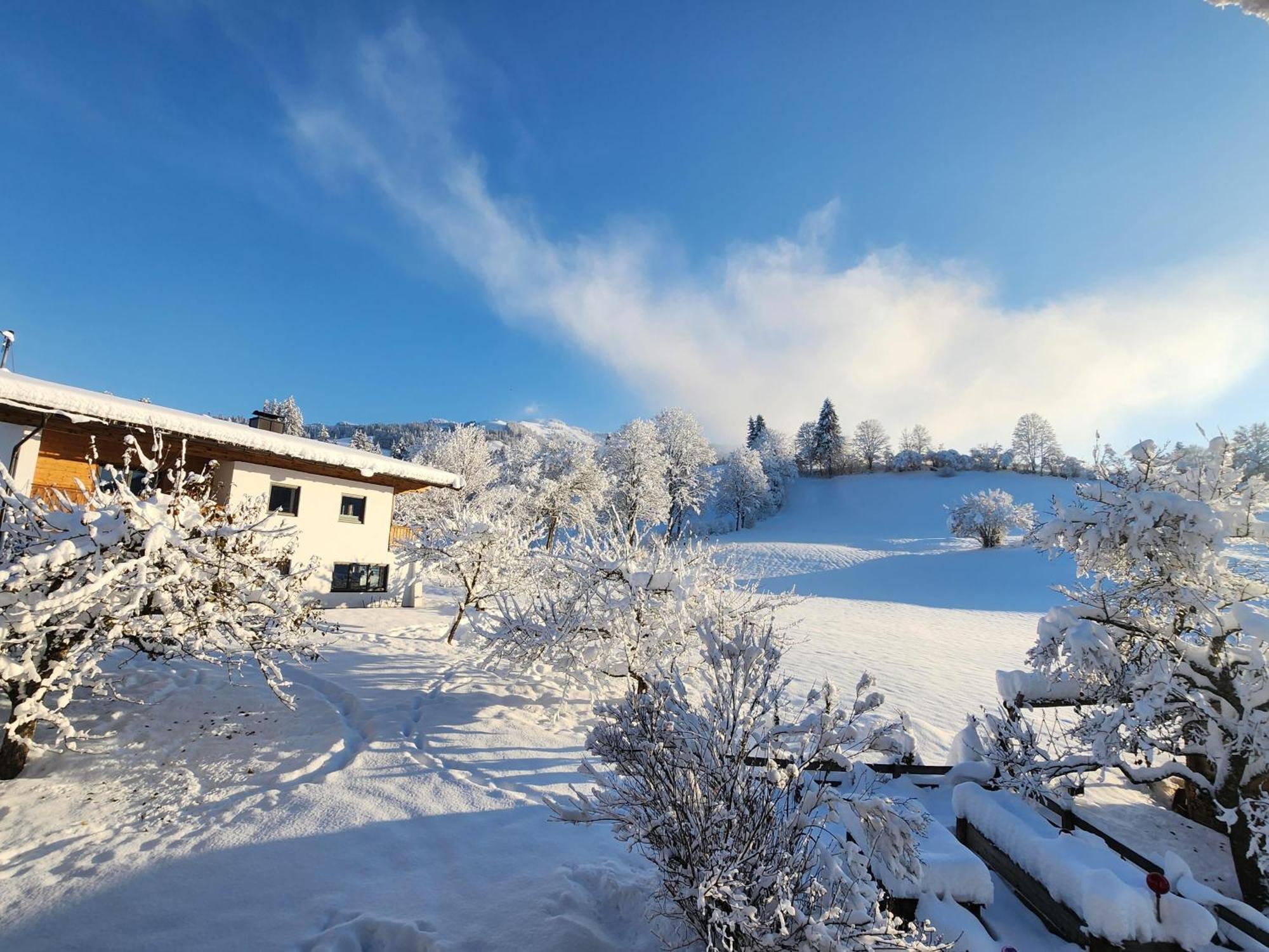 Pension Woetzinghof Kirchberg in Tirol Exterior foto