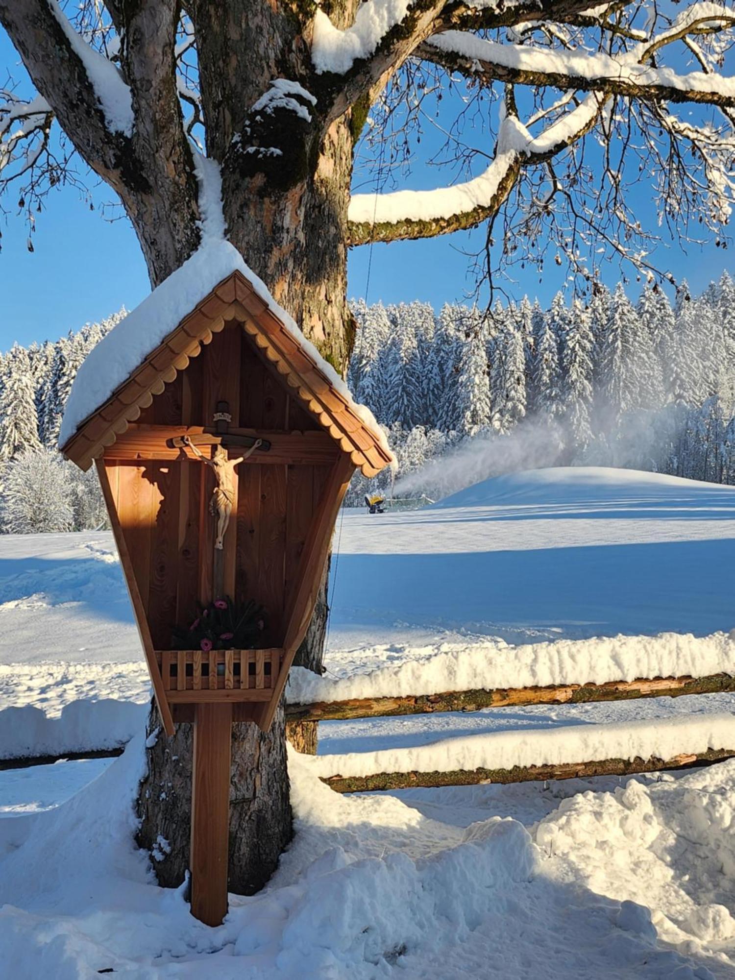 Pension Woetzinghof Kirchberg in Tirol Exterior foto