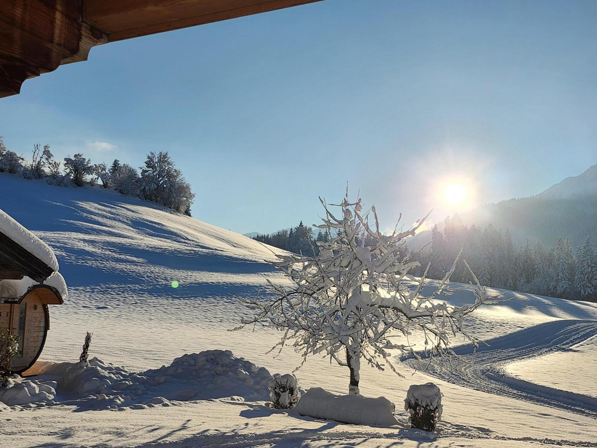 Pension Woetzinghof Kirchberg in Tirol Exterior foto